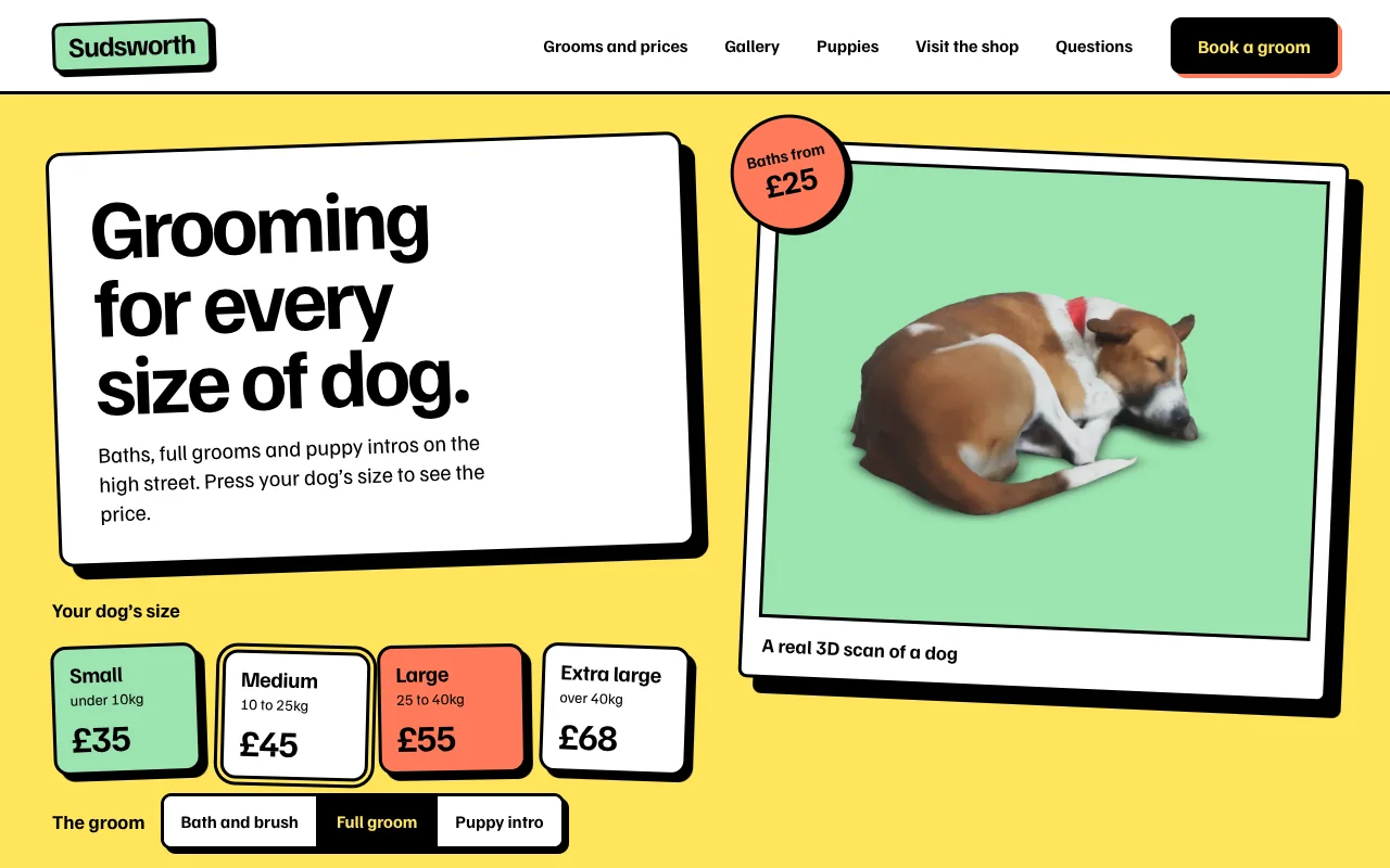 Sudsworth, an invented dog groomer: bold desktop home page with a 3D scan of a dog and a size picker that shows the price.